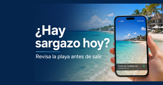 No canceles tu ida a la playa: Revisa en Vivo el Sargazo en estas Webcams